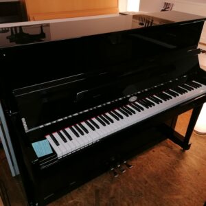 6) PEARL RIVER 118 schwarz poliert